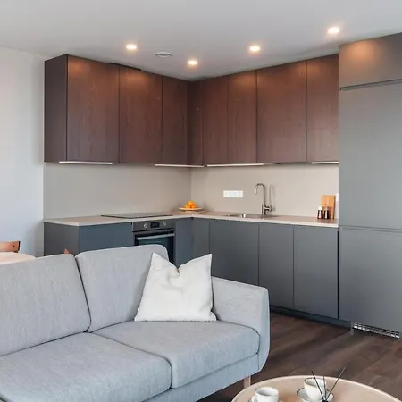 公寓 Terrace Near Ozas